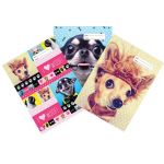 Spencil Woof Book Cover 1b5 Pack 3 Assorted | 61-113468