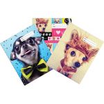 Spencil Woof Book Cover A4 Pack 3 Assorted | 61-113469