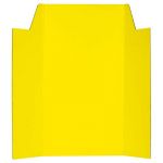 Warwick Presentation Board Yellow | 61-117465