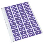 Codafile Label Alpha Y 25mm Pack 5 Sheets | 61-162575