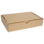 Fm Storage Carton Kraft 388x253x83mm | 61-170592