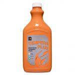 Tempera Plus Classroom Paint 2l Orange | 61-555862