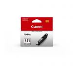 Canon Cli651 Grey Ink Cart | 70-CI651GY