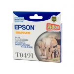 Epson T0491 Black Ink Cart | 70-E491