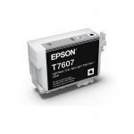 Epson 760 Light Black Ink Cart | 70-E760LB