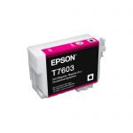 Epson 760 Vivid Mag Ink Cart | 70-E760VM